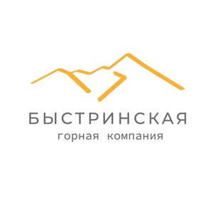АО «БЫСТРИНСКАЯ ГОРНАЯ КОМПАНИЯ»	Горнодобывающее предприятие