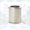AF0413700 фильтр воздушный Fleetguard фото 1
