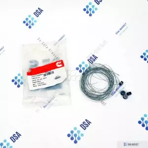 3003156 Уплотнение CUMMINS 3018147 ССЕС Nt855 K19 K38 K50 M11