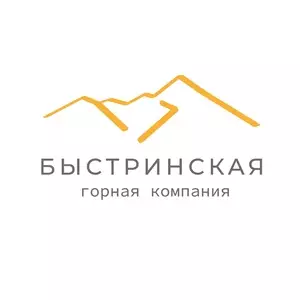 АО «БЫСТРИНСКАЯ ГОРНАЯ КОМПАНИЯ»	Горнодобывающее предприятие